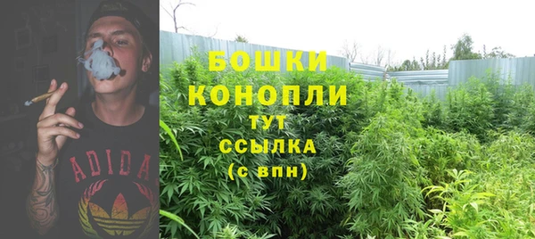 mdpv Сосновоборск