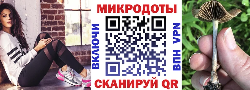Купить  Саяногорск  Псилоцибиновые грибы Psilocybe 